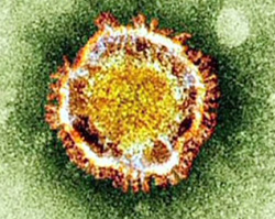 Giresun’da 3 kişi, MERS virüsü şüphesiyle gözlem altına alındı