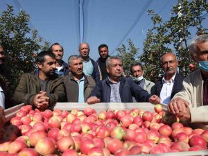 Ahlatlı Çiftçiler Kapama Elma Bahçelerini Gezdi