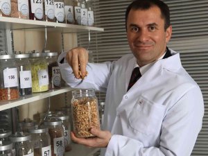 Türkiye Saç Ekiminde Ön Plana Çıkarken, Bitkisel Markalar Da Tercih Ediliyor