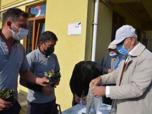 Osmanlı Çileği Fideleri Halkla Buluştu