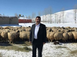 Tüdki̇yeb Genel Başkanı Çelik: "Kış Aylarına Mahsus Yem Desteği Artırılmalıdır"