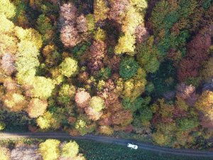 2 Bin 80 Rakımlı Genya Dağında Sonbahar’da Renk Cümbüşü Yaşanıyor