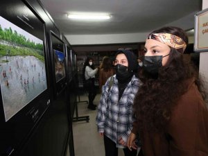 Ödüllü Fotoğraflar Sergilenmeye Başladı
