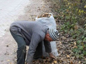 Gazeller Toplanıyor