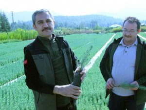 Fidan Dikim Seferberliği 11 Kasım’da