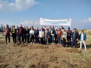 İ̇hracat Şampiyonları İçin Ei̇b Korusu Oluşturuldu