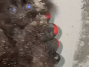 Kocaeli’de Yürek Isıtan Görüntü