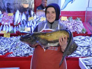Balık Pazarında Tezgahlar Doldu Taştı