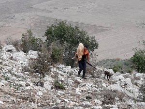 Kayalıklarda Mahsur Kalan Koyunu Kurtarıp Sırtında Taşıdı