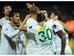Timsah Hayat Buldu