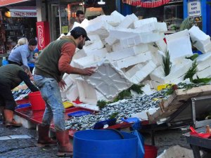 Hamsinin Kilosu 5 Tl’ye Düştü, Dakikalar İçerisinde Tonlarca Satıldı
