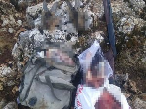 Mersin’de Yaban Keçisi Avlayan Kaçak Avcıya 122 Bin 224 Lira Ceza