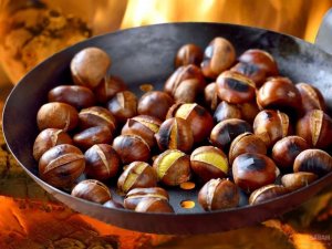 Kartepe Belediyesi’nden Kestane Festivali