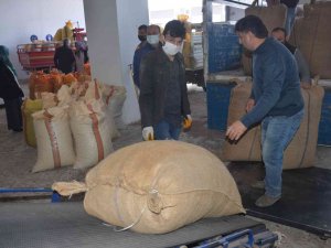 Ordu’da Fındık Üreticilerinin Tmo’ya Talebi Artıyor