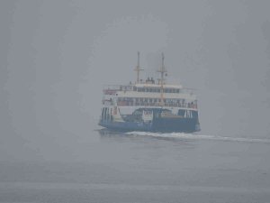 Gelibolu- Lapseki Feribot Hattına Sis Engeli