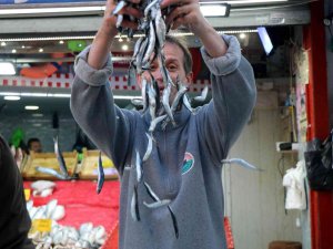 Karadeniz’deki Hamsi Bolluğu Samsun’daki Fiyatlara Yansımıyor