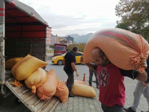 Fiyat Farkı Üreticiyi Tmo’ya Yöneltiyor