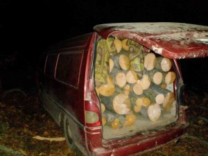 Minibüste 2 Ton Kaçak Odun Ele Geçirildi