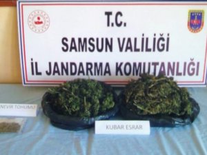 Jandarmadan Uyuşturucu Operasyonu: 1 Gözaltı