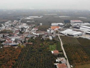 Türkiye’nin Meyve Ambarı...futbol Topu Gibi Armutlar Şaşırtıyor