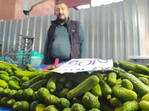 Antioksidan Kaynağı Son Kornişonlar Kapışılıyor