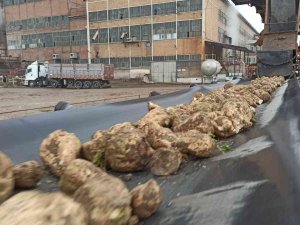 Malatya Şeker Fabrikası’nda Hedef 60 Bin Ton Şeker Üretimi
