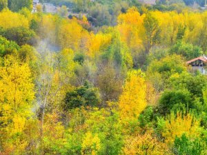 Malatya’da Sonbahar Ayrı Güzel