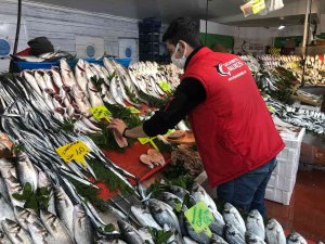 İ̇stanbul’da Etkili Olan Sis Balık Tezgahlarını Vurdu