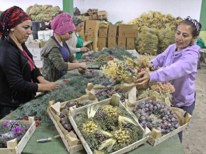 Avrupa’nın Yılbaşı Çelenkleri Antalyalı Kadınların Ellerinden Çıkıyor