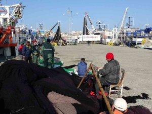 Hamsi Peşindeki Balıkçı Tekneleri Karadeniz’e Akın Etti