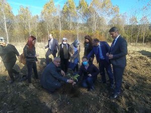 ‘Kara Mürver’ Toprakla Buluştu