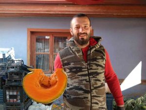 Bal Kabağının En İyisi Eskişehir’de Üretiliyor