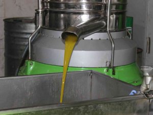 Kilis’te Zeytinyağının Kilosu 33 Tl’den Satılıyor