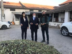 Kaymakam Memiş, Zeytinyağı İşletmesini Ziyaret Etti