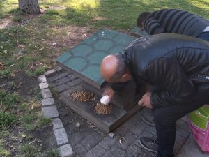 Sokak Hayvanları İçin Yemleme Çalışmaları Devam Ediyor