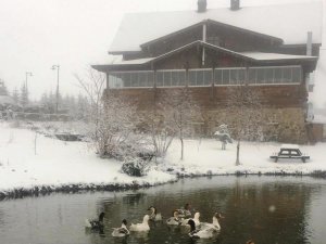 Giresun Yaylaları Beyaza Büründü