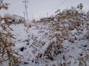 Diyadin’e Mevsimin İlk Karı Yağdı