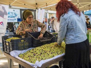 Üretici Kadınlar, Zeytin Ve Zeytinden Ürettikleri Ürünleri Satışa Sundu