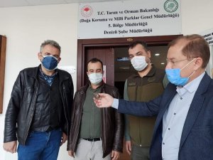 Beyaz Cennette Bulunan Siyam İkizi Kara Kaplumbağaları Koruma Altına Alındı