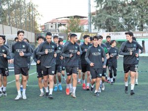 Genç Horozlar Seri Peşinde