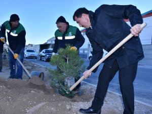 Başkan Kılca "Milli Ağaçlandırma Günü"nde Fidan Dikti