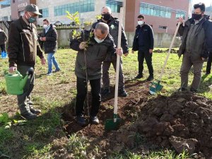 Ordu’da 116 Bin Fidan Toprakla Buluştu