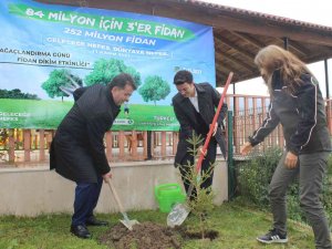 Türkeli’de "11 Kasım Milli Ağaçlandırma Günü" Etkinliği