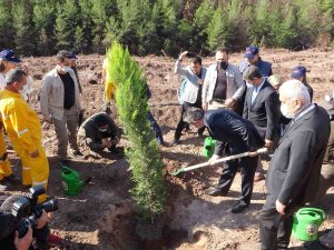 Osmaniye’de Yanan Ormanlık Alanda Fidanlar Toprakla Buluştu