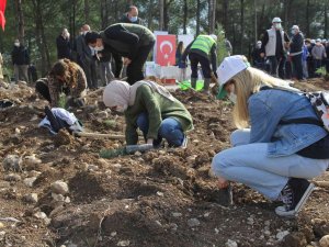 İ̇zmir’de 65 Bin Fidan Toprakla Buluştu