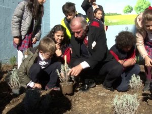 Bayrampaşa’da İlkokul Öğrencilere 16 Bin Meşe Palamudu Dağıtıldı