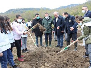 Fatsa’da Dikilen Fidan Sayısı 5 Bin 500’e Ulaştı