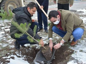 Kars’ta 2300 Rakımda Eksi 10 Derecede Fidan Dikimi