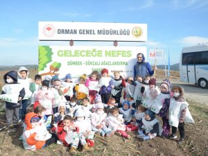 Çanakkale’de 43 Bin Fidan Toprakla Buluştu