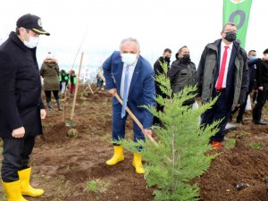 Samsun’da Fidanlar Toprakla Buluştu: Hedef 771 Bin Fidan